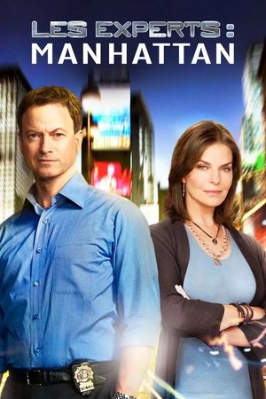 Les Experts : Manhattan movie poster