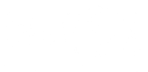 O Segredo do Rio — Logos 11