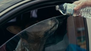 Images posters