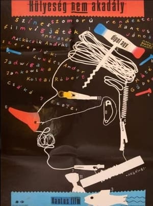 Poster Hülyeség nem akadály (1986)