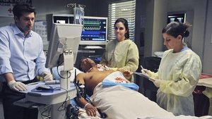 Grey’s Anatomy Season 6 Episode 14