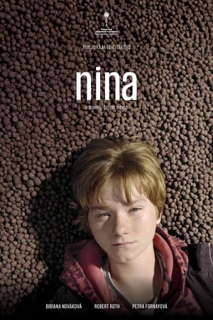 Poster Nina 2017