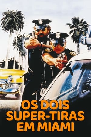 Poster Os Dois Super Polícias em Miami 1985