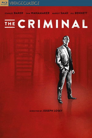 poster The Criminal