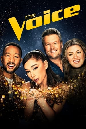 Image The Voice USA