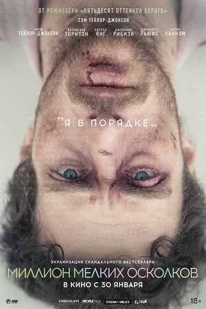 Poster Миллион мелких осколков 2019