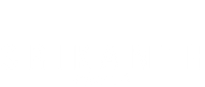 Srikanth — Logos 3