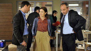 Los misterios de Laura