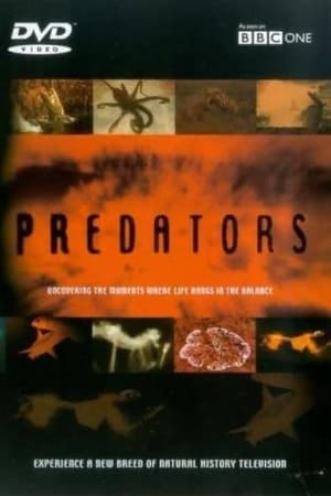 Poster Predators 2000