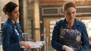 Bones: Stagione 11 x Episodio 22