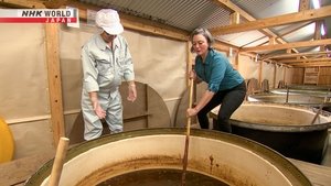 Journeys in Japan: 14×27