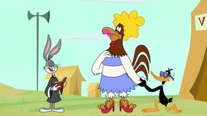 Le Rock Du Coq