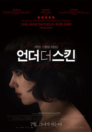 Poster 언더 더 스킨 2013