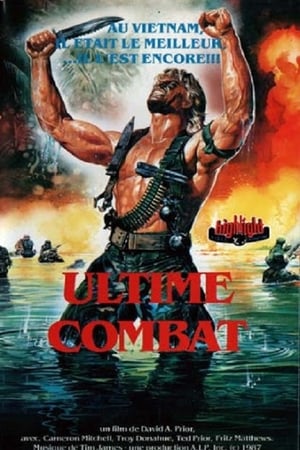 Poster Ultime combat 1987