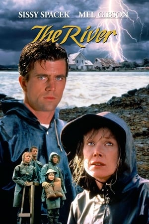 Click for trailer, plot details and rating of The River (1984)