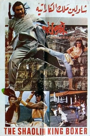 Poster Iron Fists (1979)