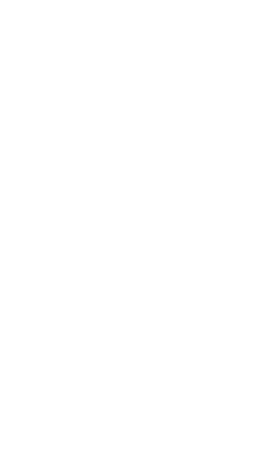 The Big Bird Cage