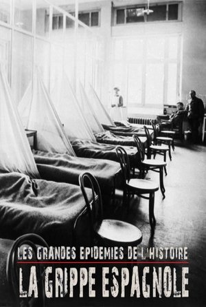 Image Les grandes épidémies de l'histoire : la grippe espagnole