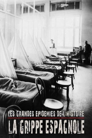 Poster Les grandes épidémies de l'histoire : la grippe espagnole 2018