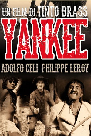 Yankee 12