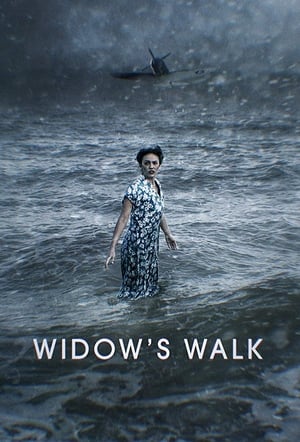 Poster Widow's Walk 2019