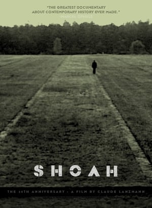 Shoah poster