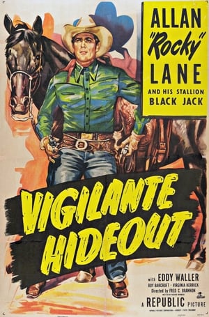 Vigilante Hideout poster