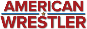 American Wrestler: The Wizard