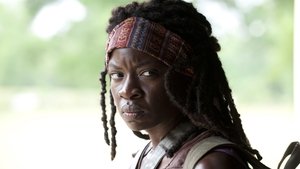 The Walking Dead 3X01 Online Subtitulado