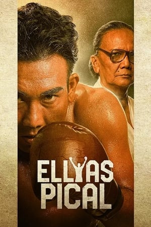 Poster Ellyas Pical 2024