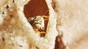 Episode 18 on arte 360° Reportage Season 27 Episode 18 – November 29, 2025