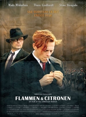 Poster Flammen & Citronen 2008
