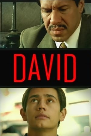 Poster David 2005