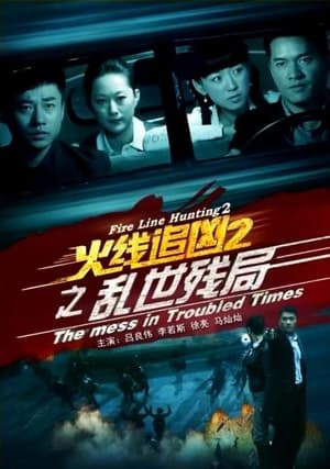 Poster 火线追凶2之乱世残局 2013