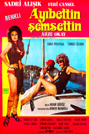 Poster Ayıbettin Şemsettin (1971)