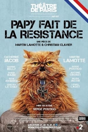 Papy fait de la résistance film complet