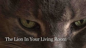 The Lion in Your Living Room