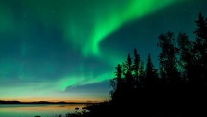 The Nature of Things The Wonder of the Northern Lights