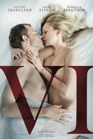 Poster Vi 2013