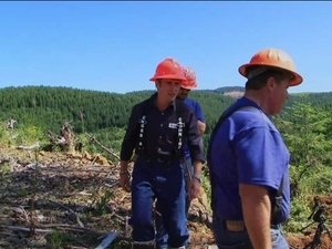 Richard Hammond's Crash Course Tree Harvester