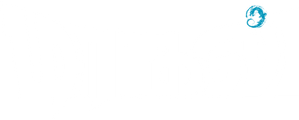 Dragon — Logos 3