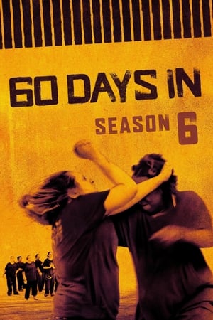 60 Days In: Staffel 6