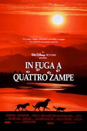 Poster di In fuga a quattro zampe