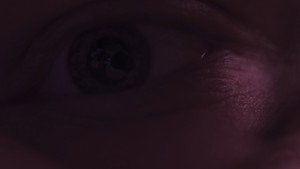 collection de divers courts et essais