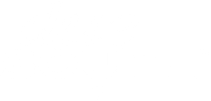 Due South
