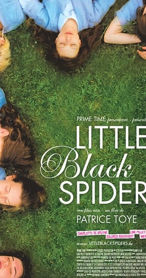 Poster Little Black Spiders (2012)