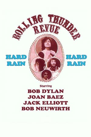Poster Bob Dylan: Hard Rain 1976
