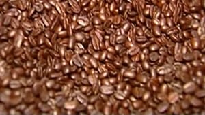 Modern Marvels Coffee