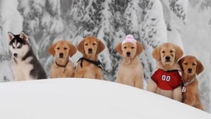 Snow Buddies: Cachorros en la nieve