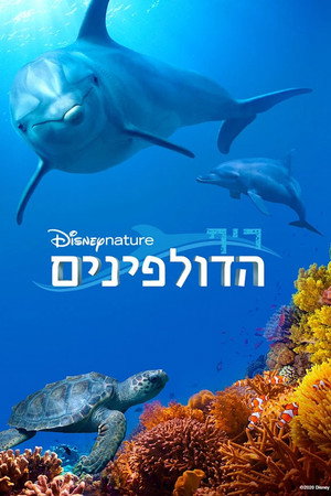 Image ריף הדולפינים